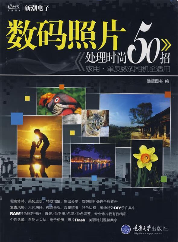 数码照片处理时尚50招 远望图书 编