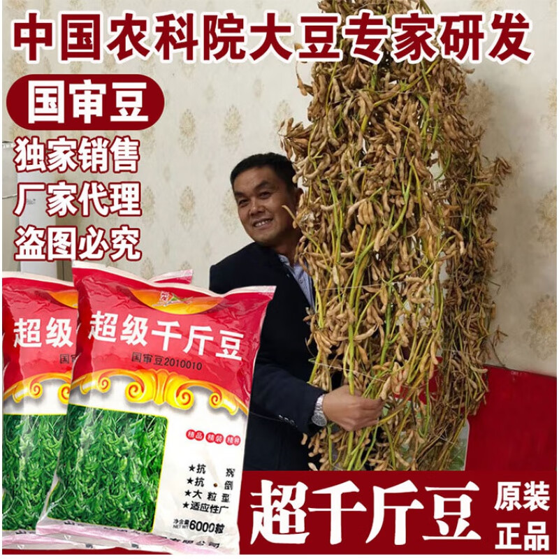 播大田基地均可种植大豆种粮食种子 宇航千斤豆500克 分装 稳产可达1