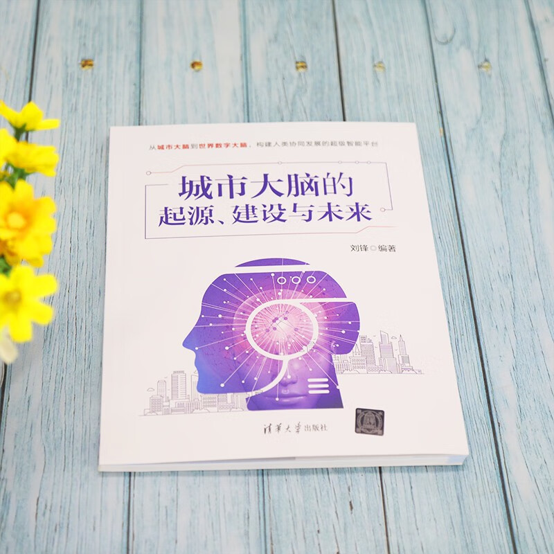 城市大脑的起源、建设与未来详情图