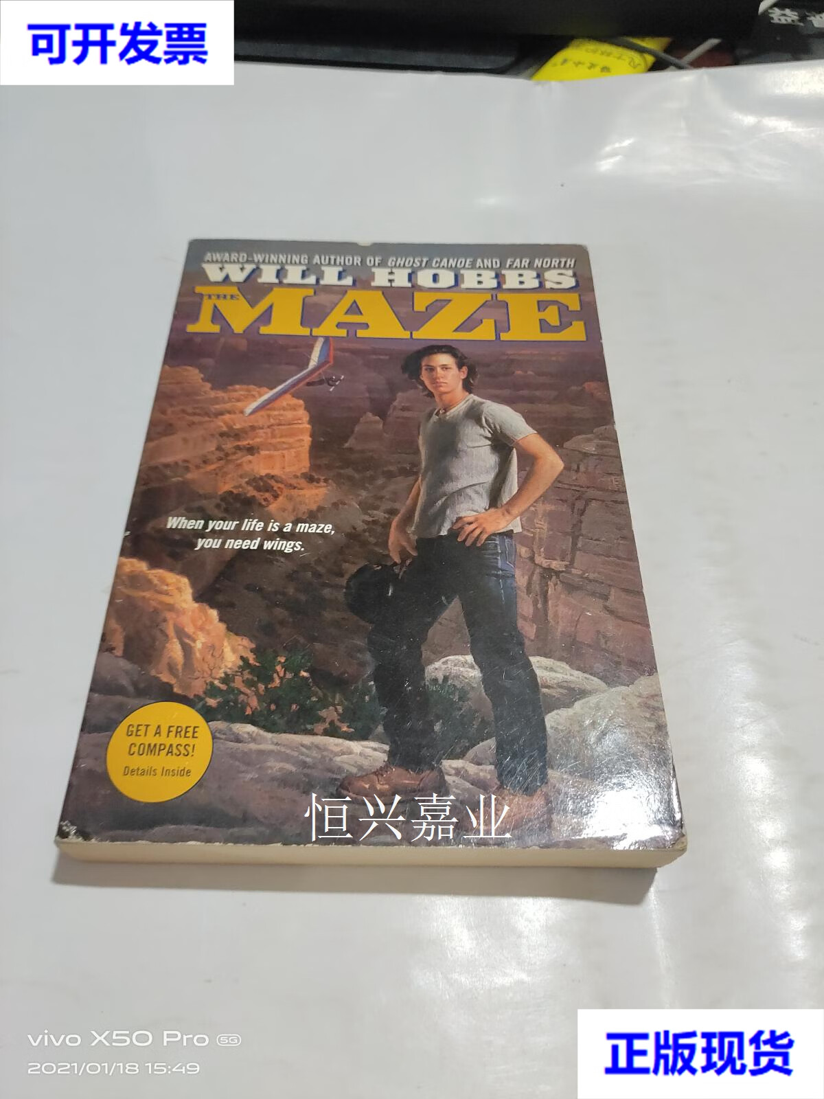 【二手9成新】the maze will hobbs 不详 不详