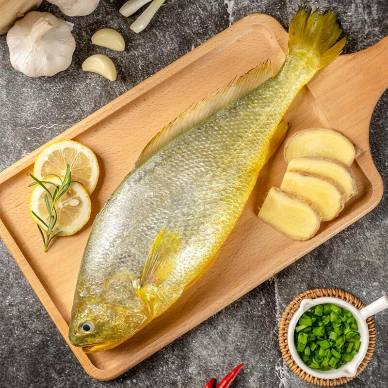 三都港 速冻宁德大黄鱼新鲜活鱼黄花鱼冷冻海鲜水产海鱼黄瓜鱼生鲜