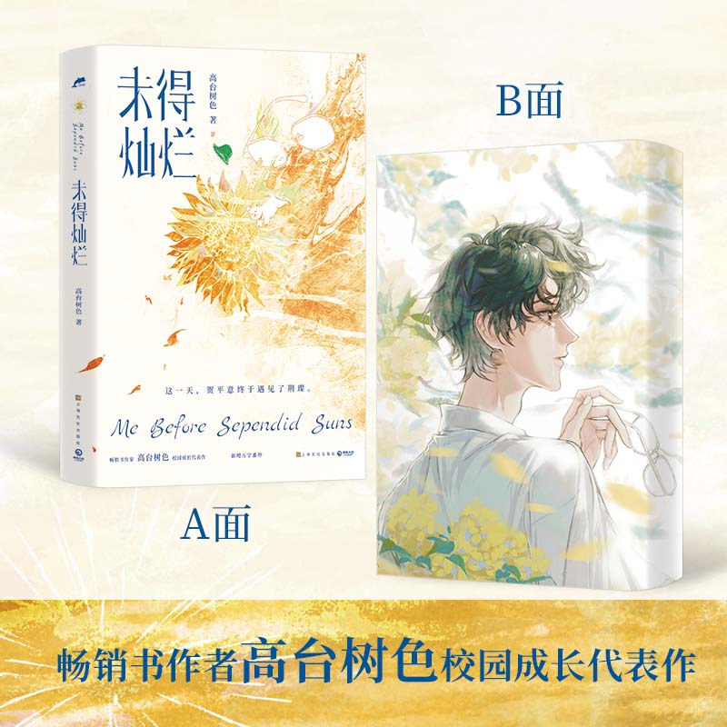 【限量首印特签版本】未得灿烂 人气畅销书作家高台树色校园成长代表作 新增番外 青春校园代表作 正版锦瑟闻香 青春文学 校园救赎