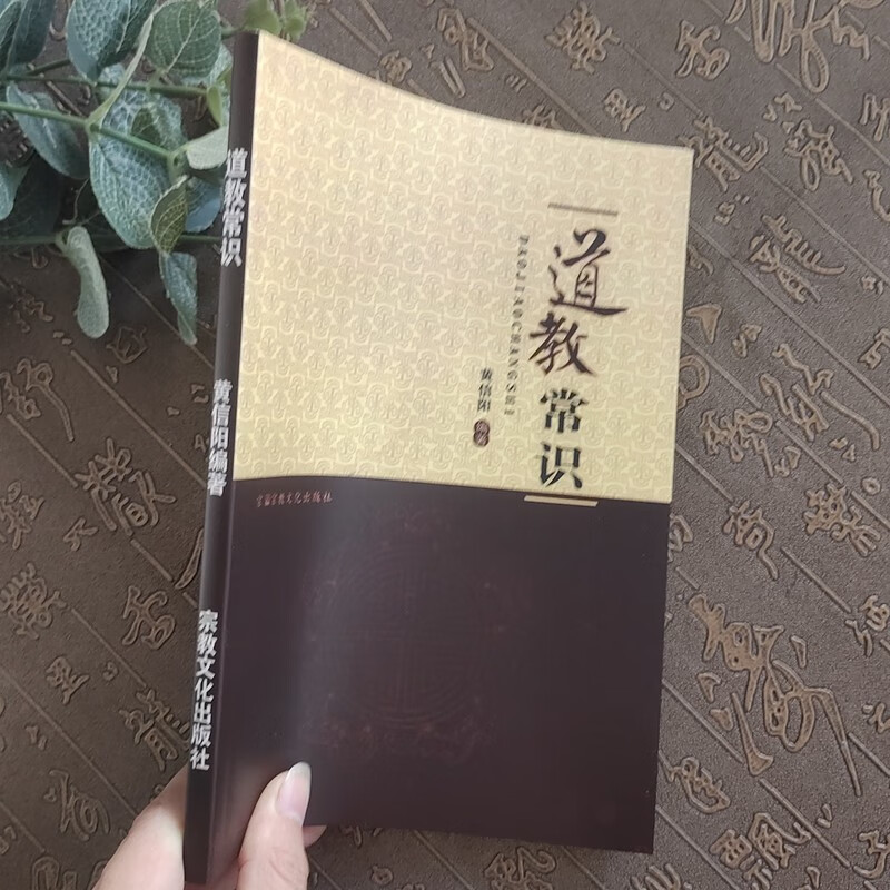 道教常识（中国道教史/中华现代学术名著丛）