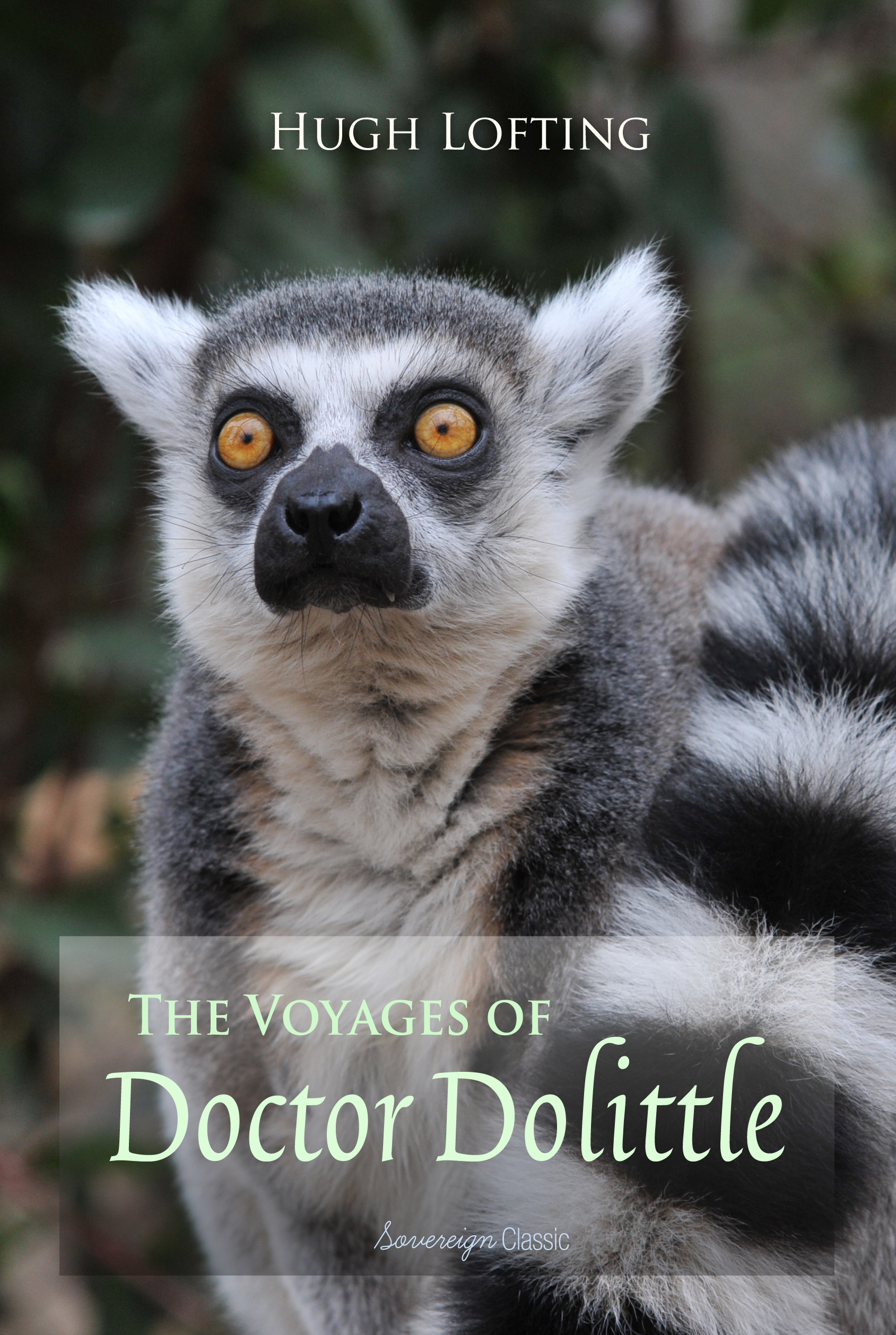 the voyages of doctor dolittle