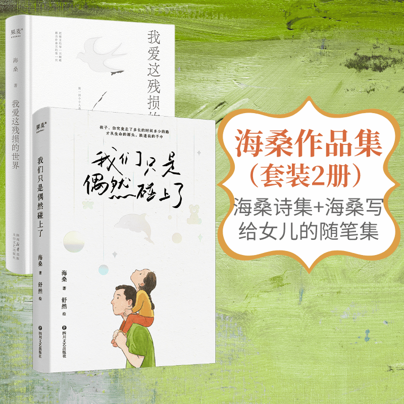 【官方直营】小嘉推荐  我爱这残损的世界+我们只是偶然碰上了（套装2册） 海桑作品集  诗歌 我是你流浪过的一个地方作者 用心描述生活细节里的真美 果麦出品  团购联系客服 文学