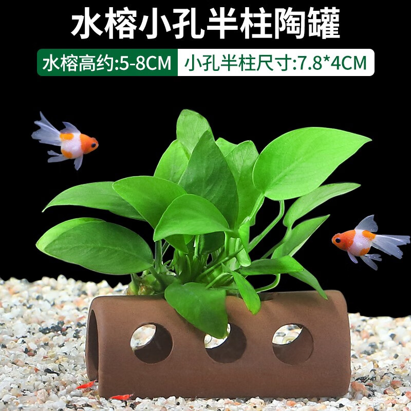 疯狂水草(FKSC)鱼缸造景装饰水草植物真草活体陶罐水草水榕懒人净水装饰造景套餐 水榕小孔半柱陶罐怎么样,好用不?