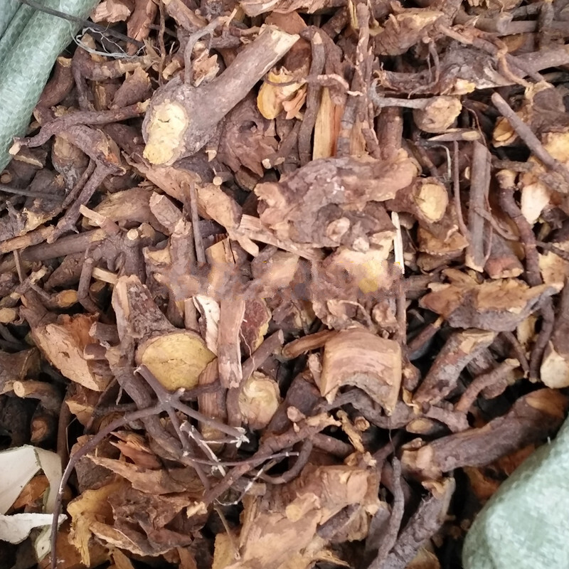 苦里根 苦李根 狐狸根 睇牛仔 黎罗根掌牛仔500g 仔500g