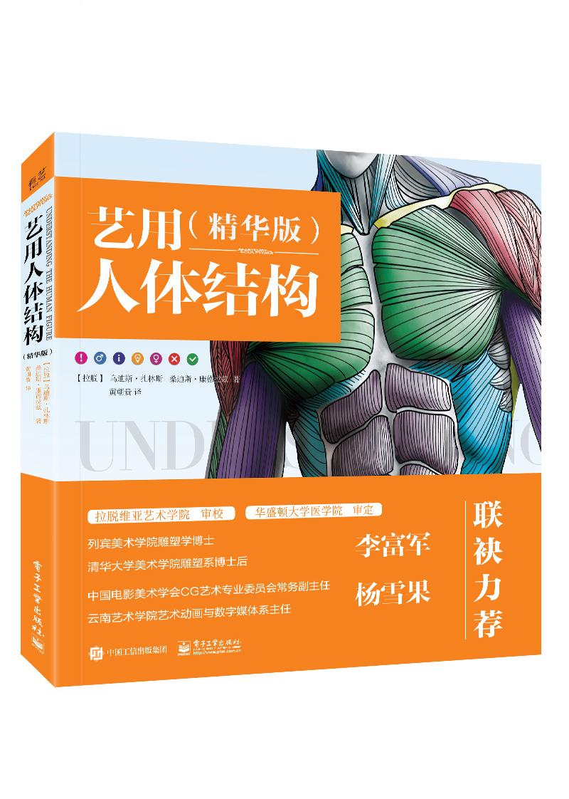 艺用人体结构:精华版
