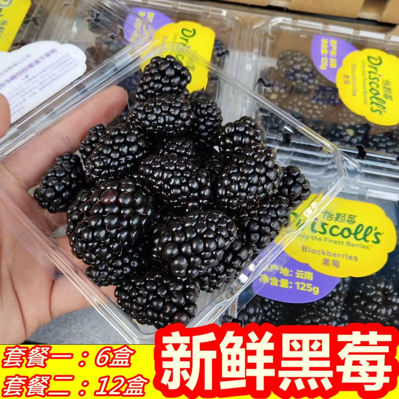 教蔬鲜生云南怡颗莓黑莓新鲜覆盆子水果黑树莓果酸甜桑葚125g/盒顺丰