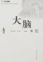大脑之旅