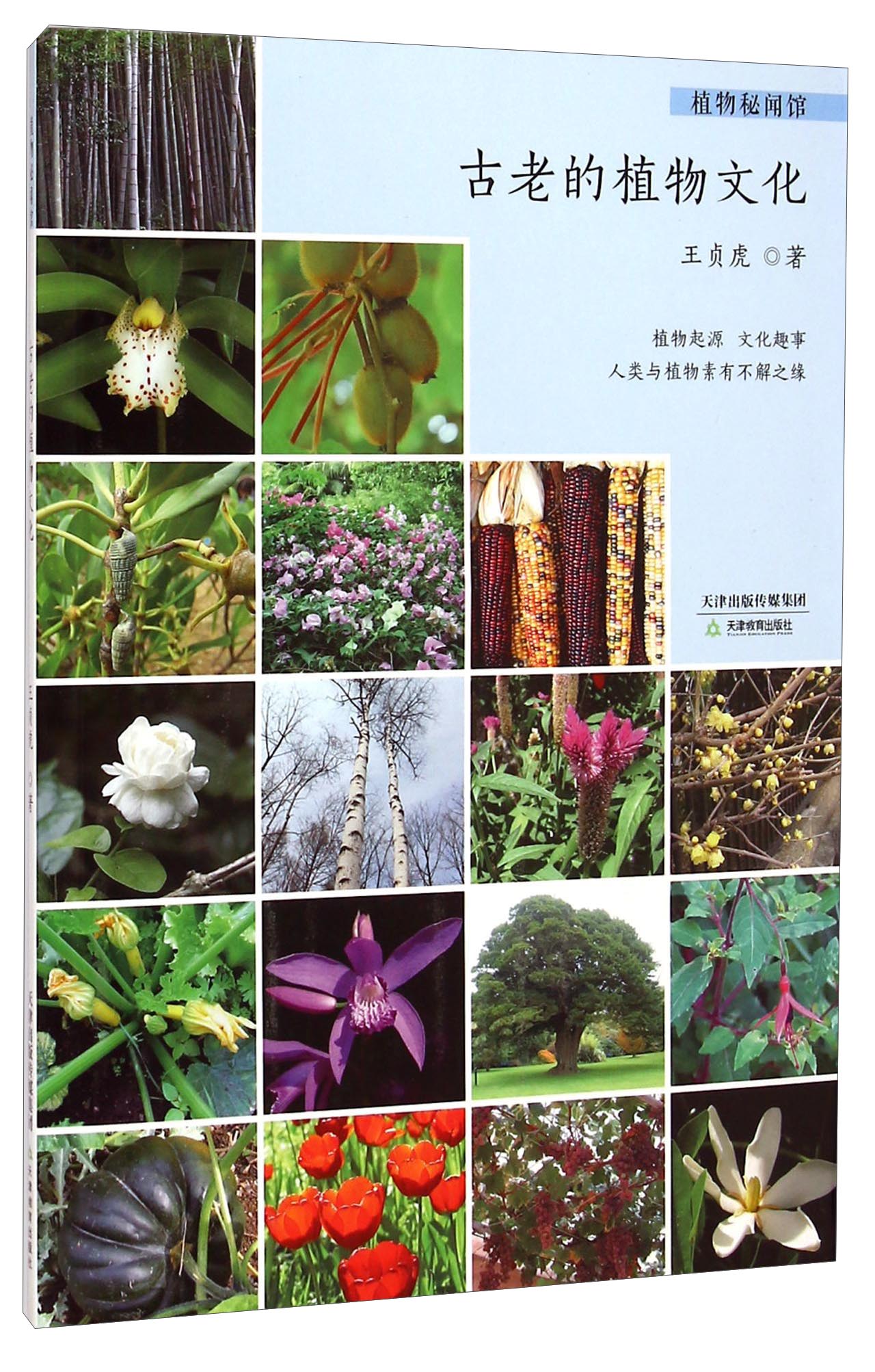 古老的植物文化【正版好书,下单速发】