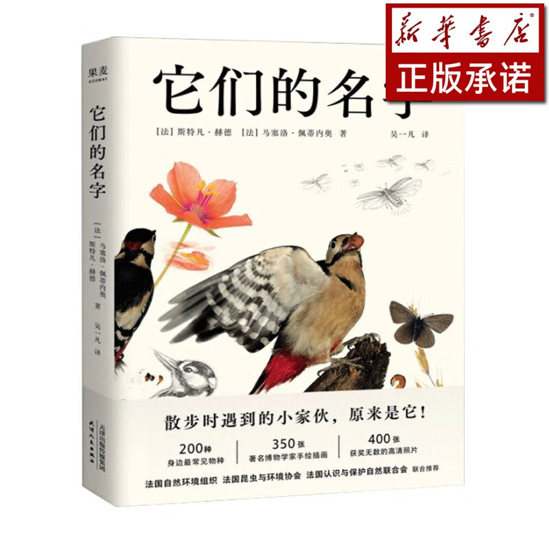 它们的名字