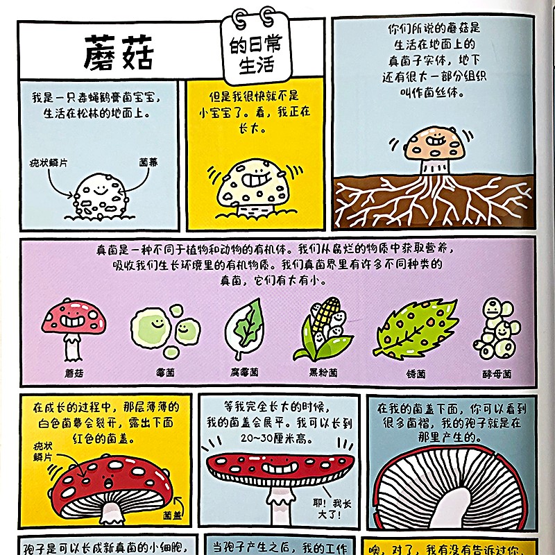 地球上的爆笑生活：便便、树懒和你的一天 科普图文百科 轻松学科学知识 探索未知兴趣 7-10岁浪花朵朵6-10岁儿童暑假阅读暑假课外书课外暑假自主阅读暑期假期读物详情图