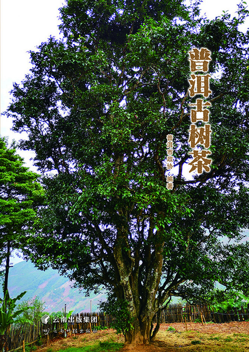 普洱古树茶9787558725708