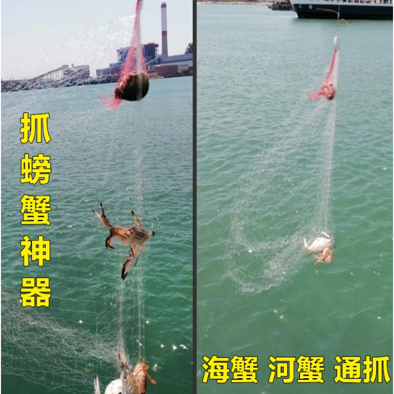 工具螃蟹神器海钓螃蟹海用鱼网沙网赶海抓螃蟹垂钓渔 大号螃蟹网1个