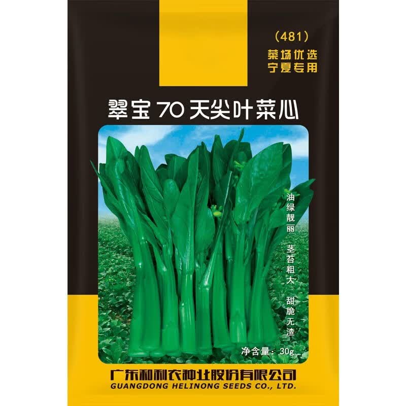 和利农翠宝70天尖叶菜心种子广东农家菜芯种籽南方蔬菜种孑 和利农翠