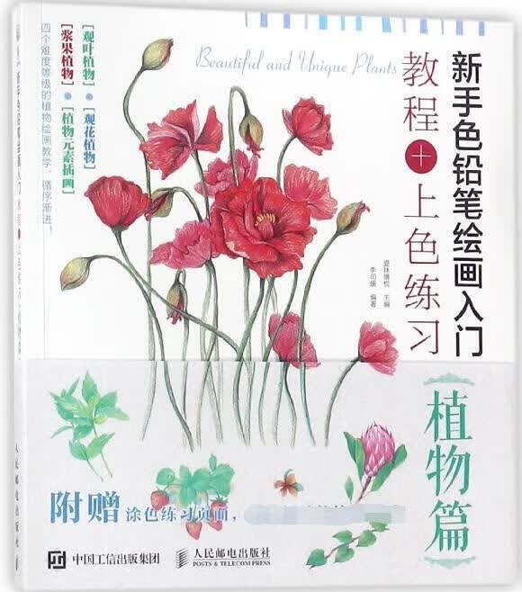 新手色铅笔绘画入门(教程+上色练习植物篇)