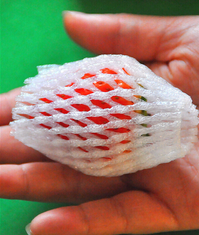 唯利多嘉宴新款草莓网套枇杷水果苹果梨子泡沫网袋气泡膜包装鸡蛋防震