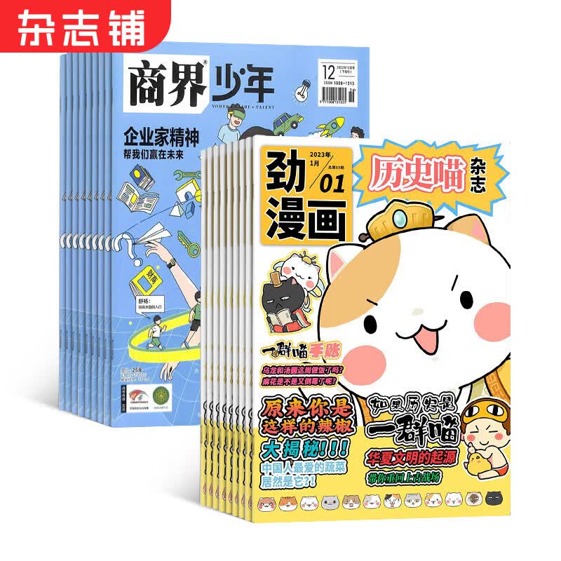历史喵+商界少年杂志组合订阅 2024年1月起订 组合共24期  历史启蒙培养 历史兴趣漫画读物 青少年课外阅读 6-12-15岁少儿阅读 杂志铺假如如果历史是一群喵属于什么档次？
