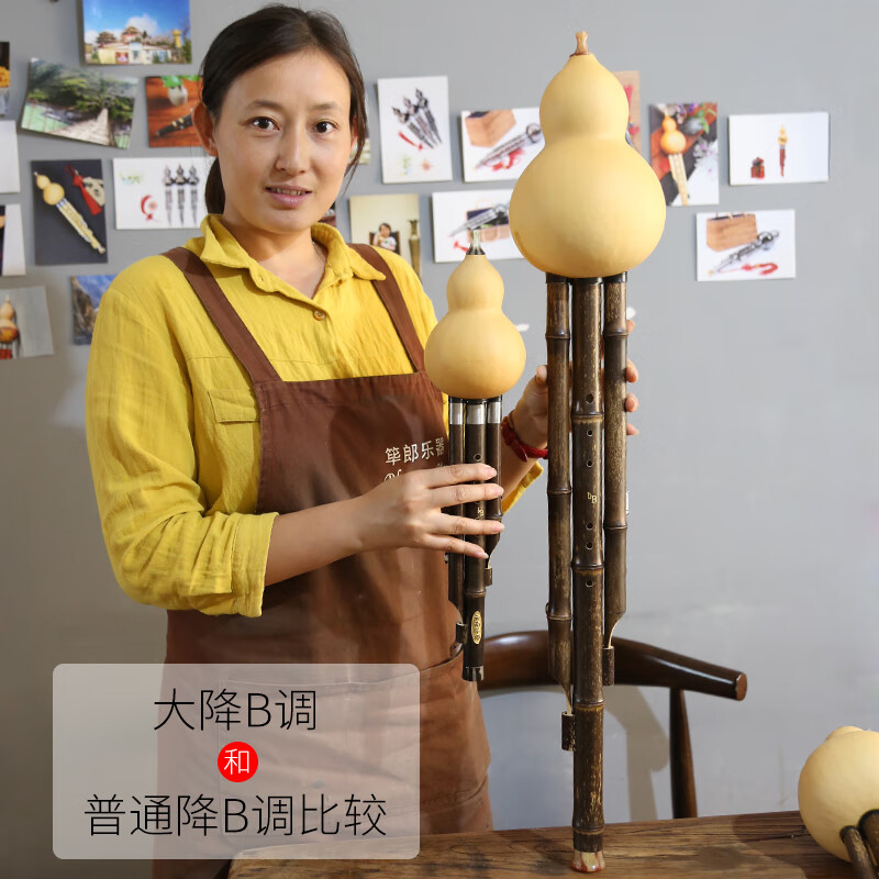 蓝孔雀筚郎葫芦丝专业成人演奏型 小g/小f/小d/大d/大c/大降b/降e调