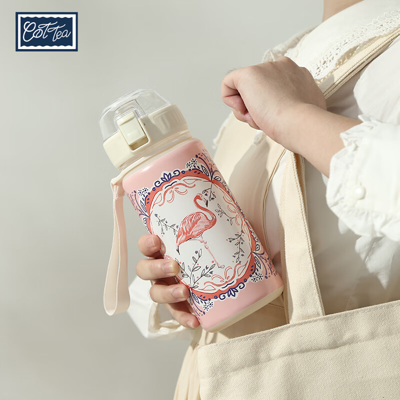 TAEFAIR火烈鸟弹跳杯Tritan茶水分离学生成人便携英式创意含茶滤泡茶水杯 C-镜框火烈鸟Tritan弹跳杯650ml