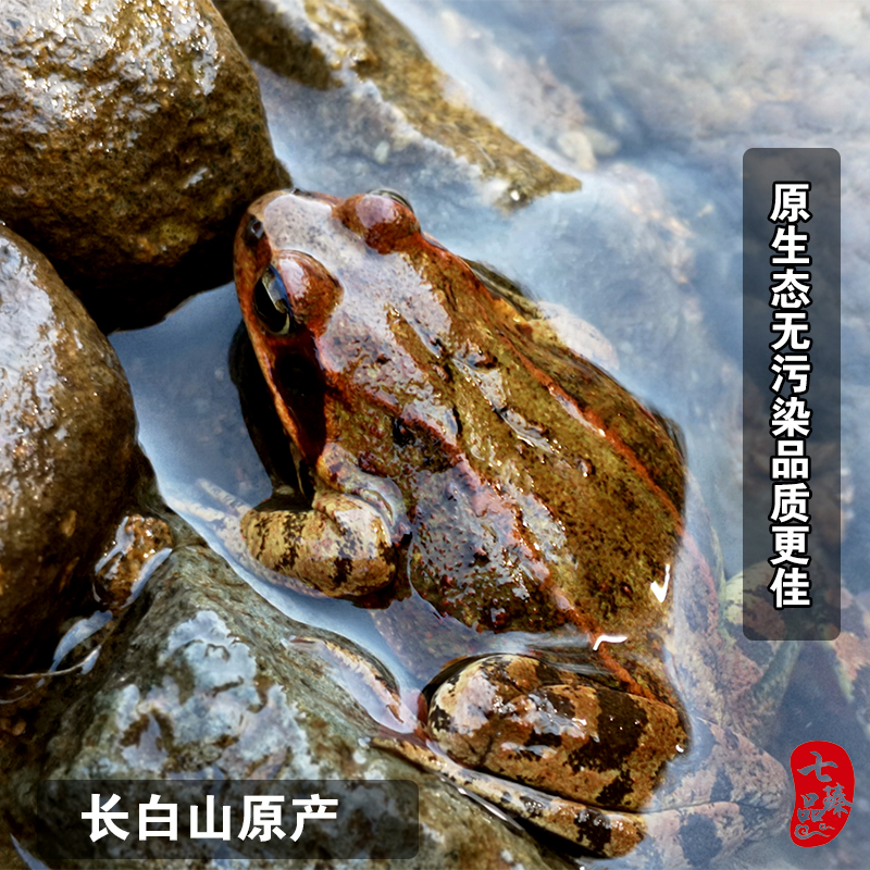 蛤蟆干雪蛤油正宗东北长白山林蛙干整只雪蛤膏哈什蚂干货10克 干货10