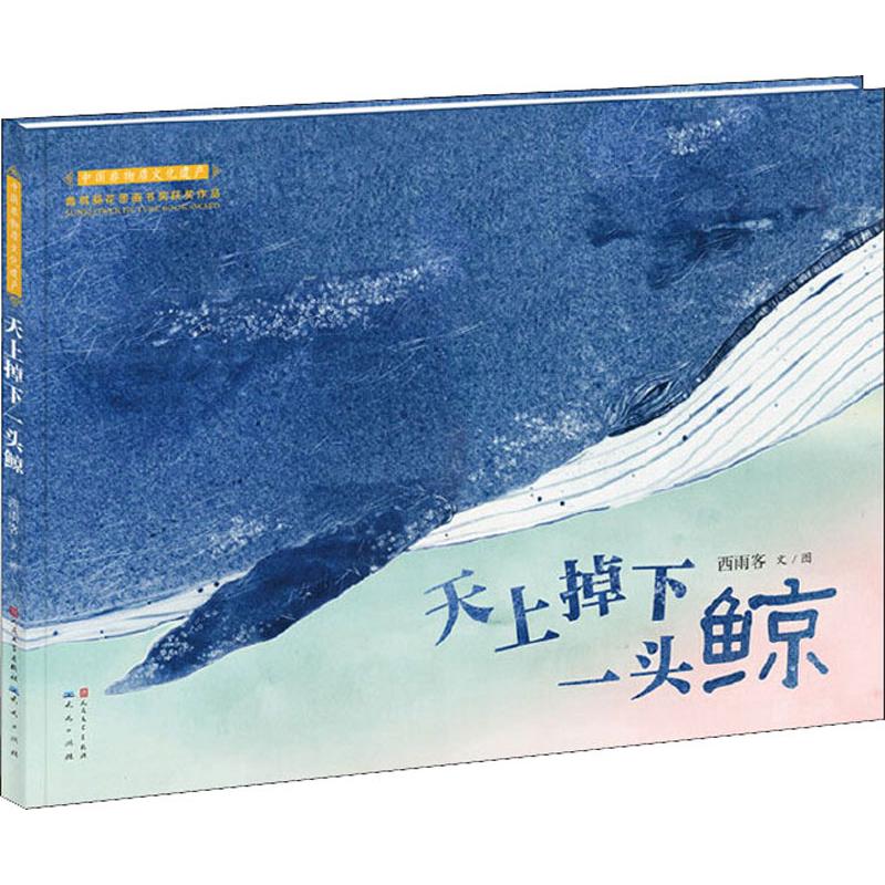 天上掉下一头鲸属于什么档次？