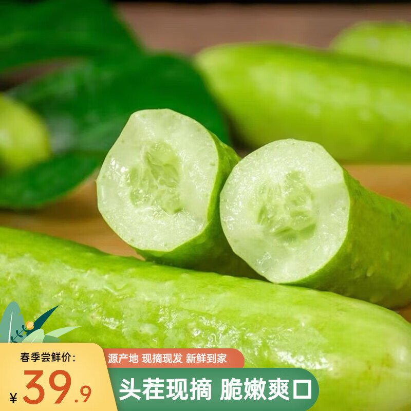 山东海阳白玉黄瓜孕妇生吃小黄瓜脆嫩新鲜蔬菜 实惠 4.5斤
