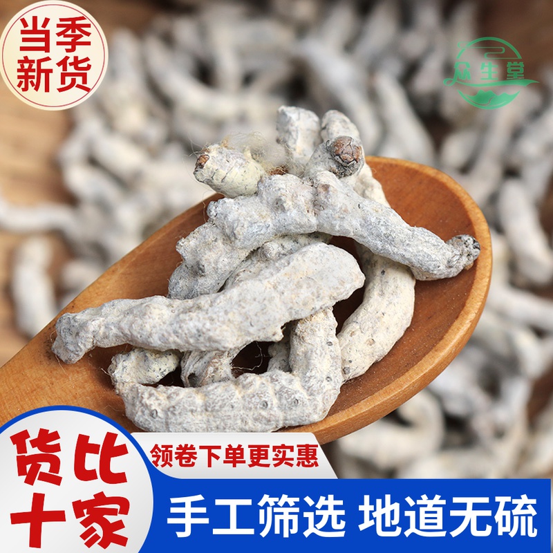 白僵蚕中药材僵蚕僵虫天虫玻璃心断面七子白 500克可磨粉