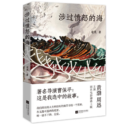 《涉过愤怒的海》老晃 周迅黄渤主演 曹保平执导同名电影原著灼心系列