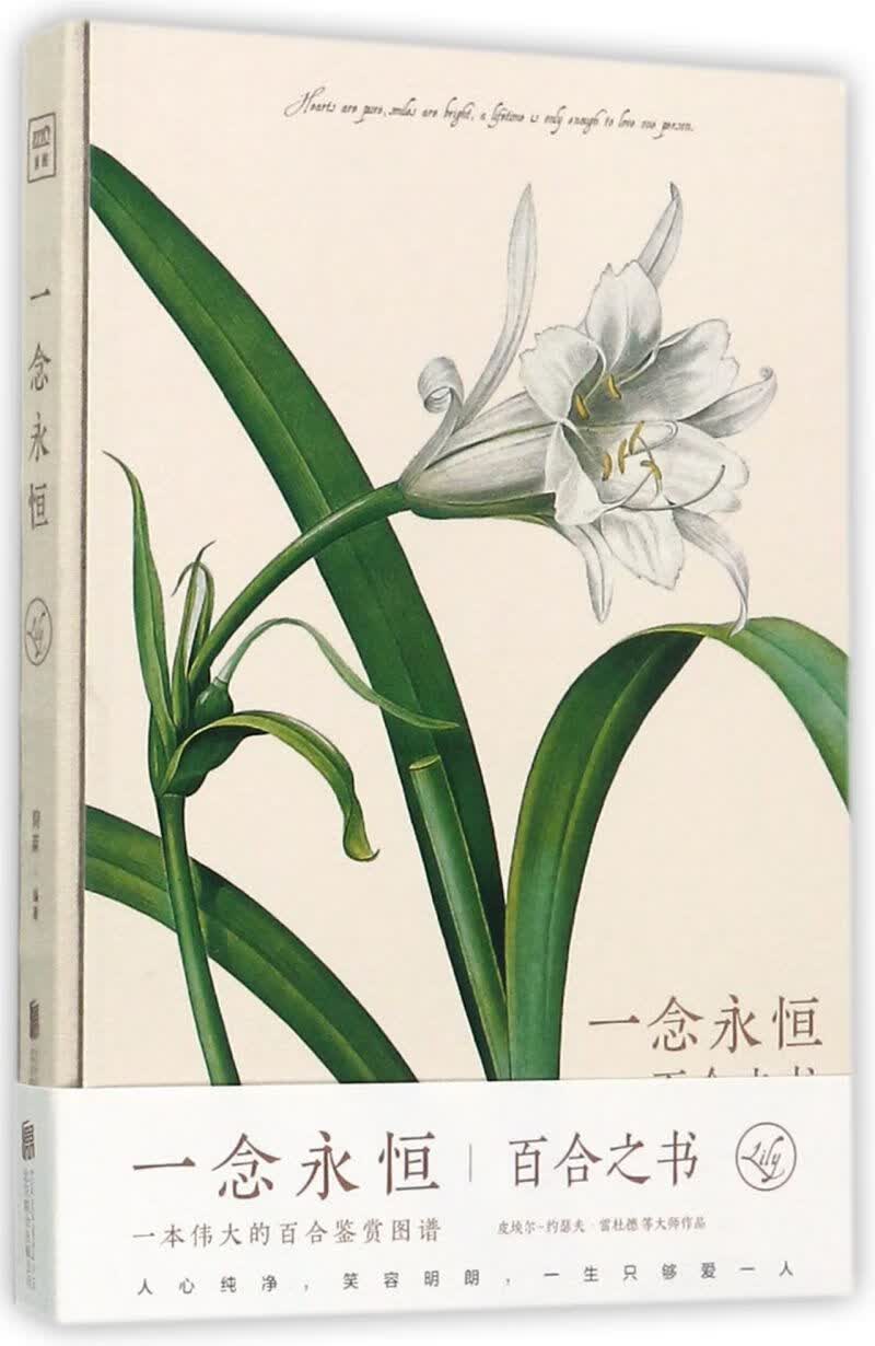 一念永恒(百合之书)(精)