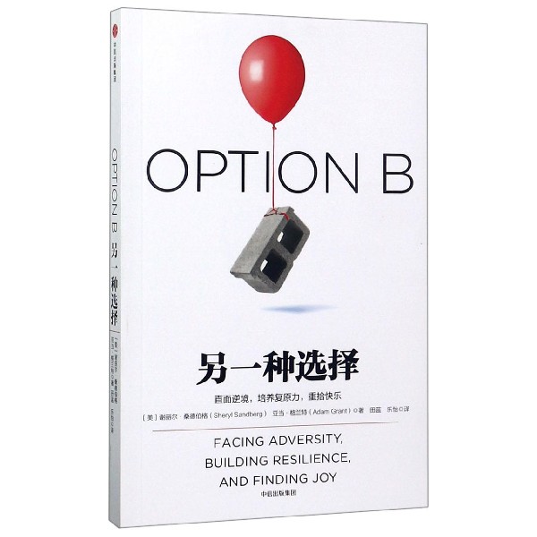 另一种选择