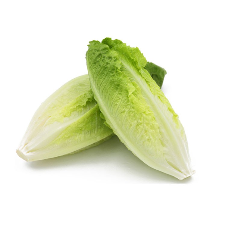真京 新鲜包心罗马生菜 新鲜嫩罗马罗纹生菜 凯撒沙拉蔬菜 500g