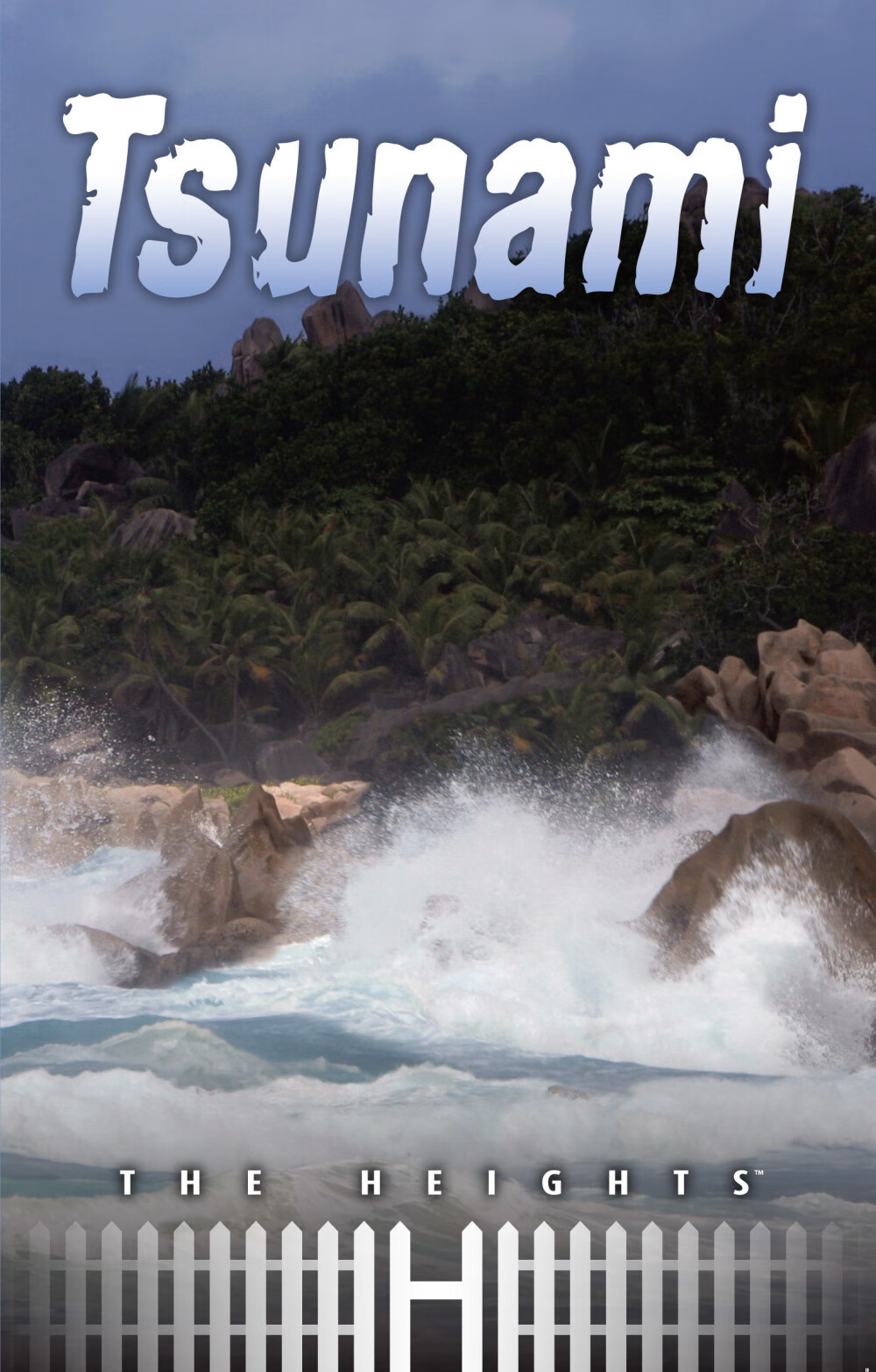 tsunami