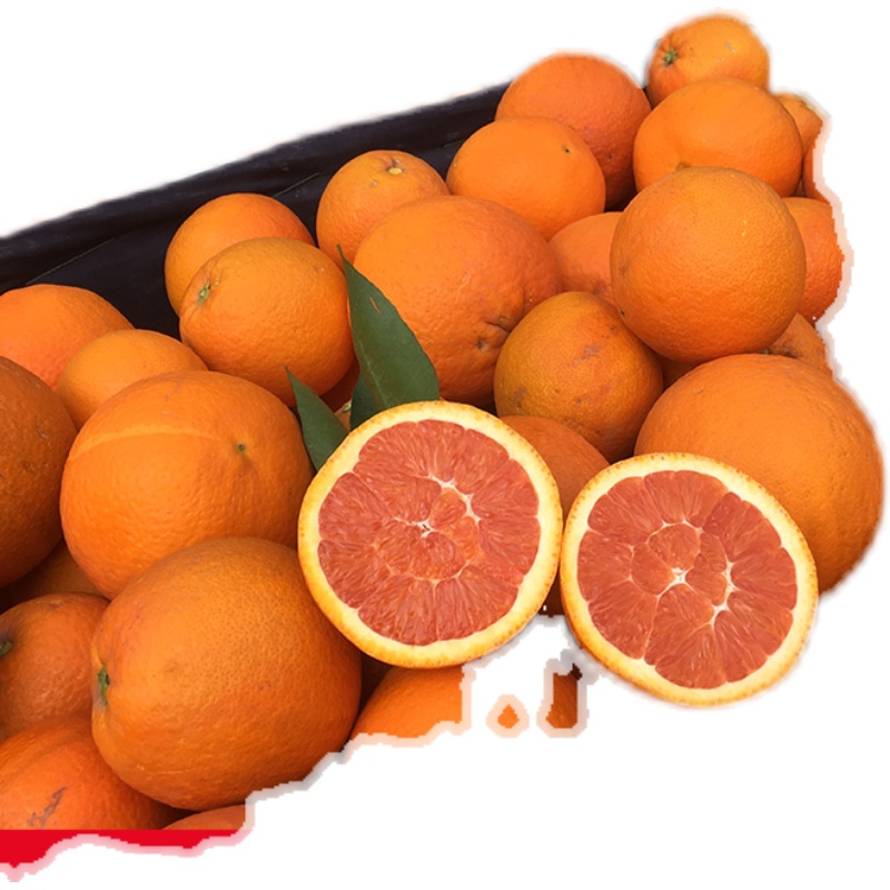 正宗资中塔罗科血橙 新鲜橙子水果整箱生鲜5/10斤团建送礼 5斤装 精选