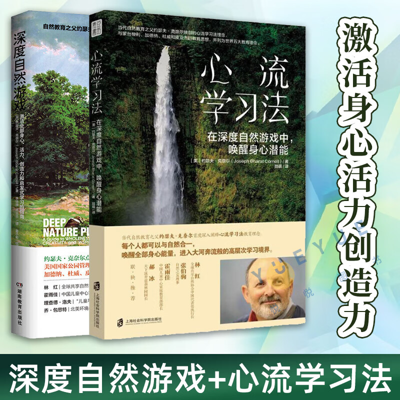 深度自然游戏+心流学习法 激活身心活力创造力和启发学习指南 家庭育儿书儿童教育书籍 自然教育之父约瑟夫