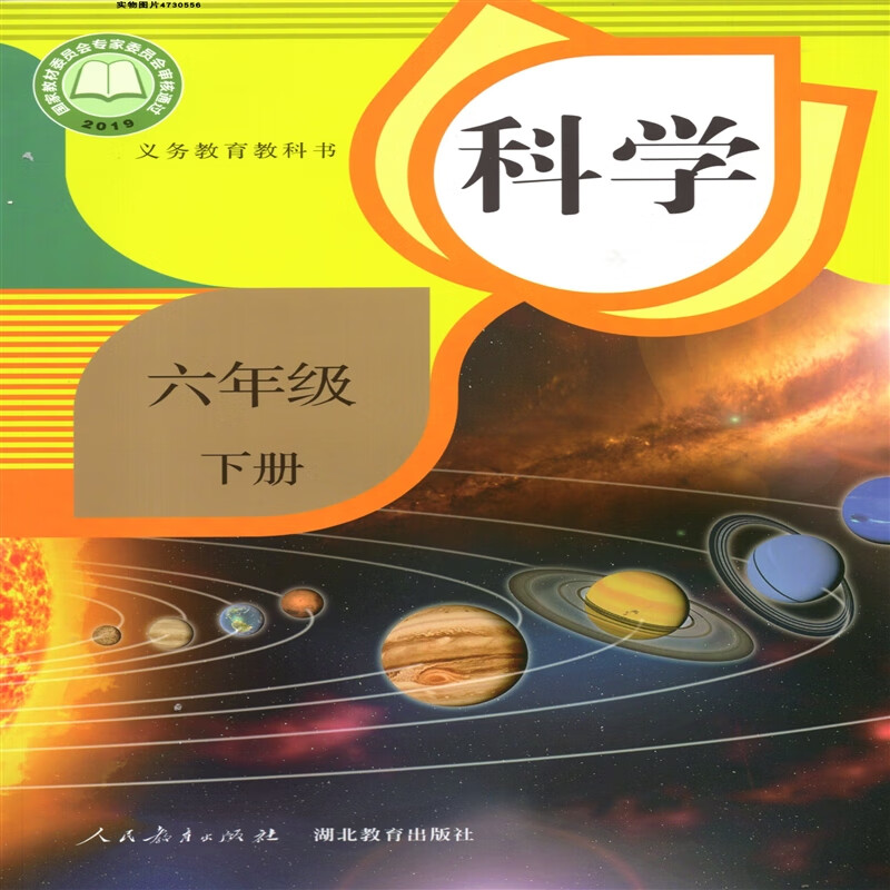 2024人教版鄂教版小学6六年级下册科学书 人民教育出版社