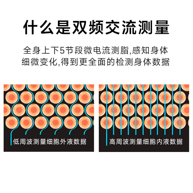 沃莱(ICOMON)八电极智能体脂体重秤 健身房专用电子秤人体减肥健身健康监测测量仪 黑色八电极-FG2001B-A 【充电款】