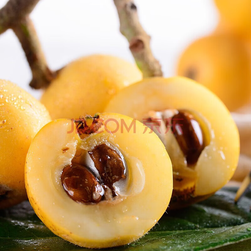 皓谦东山白玉白沙枇杷果新鲜水果孕妇水果琵琶鲜果白玉枇杷 3斤