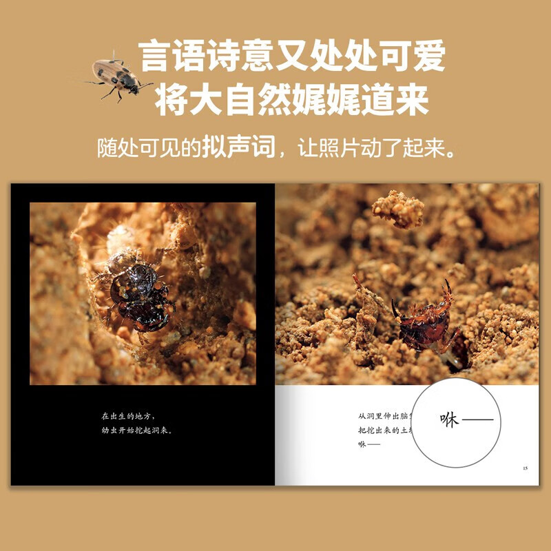 【无穷小亮推荐】生命的故事 赠音频 高清实拍昆虫动物科普百科全书12345辑+番外篇 赠音频 纸上纪录片自然科普儿童绘本 幼儿园动物世界3-6-8-10岁 人民日报推荐官方正版省钱卡图书卡 生命的故事