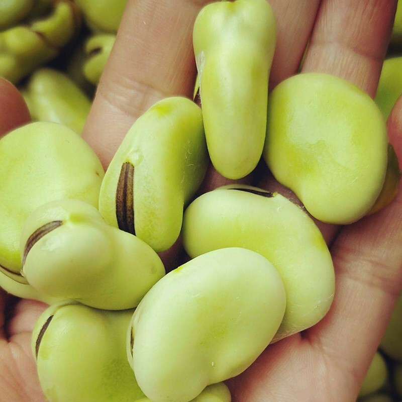 大禹耐寒菜籽蔬菜种子大全春季阳台盆栽生菜小葱香菜草莓家庭种四季