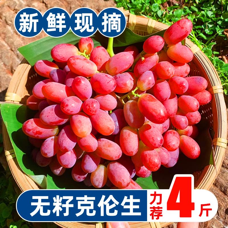 新疆无籽克伦生红提脆甜葡萄马奶新鲜水果应当季水晶无籽提子礼盒 克伦生整箱4斤（JD快递）