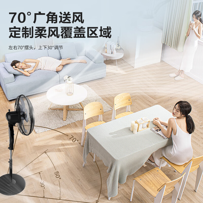 艾美特(AIRMATE)五叶家用电风扇大风量机械立式落地扇轻音节能柔风定时风扇落地式风扇 FSW65T2-5主图6