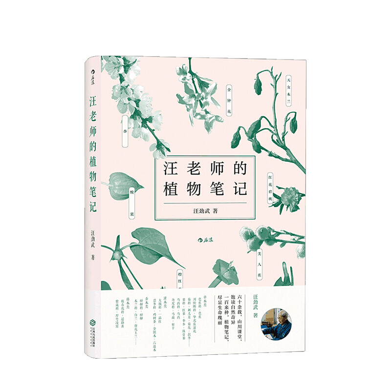 汪老师的植物笔记 汪劲武手绘插图自然博物学中学课外读物科普书籍