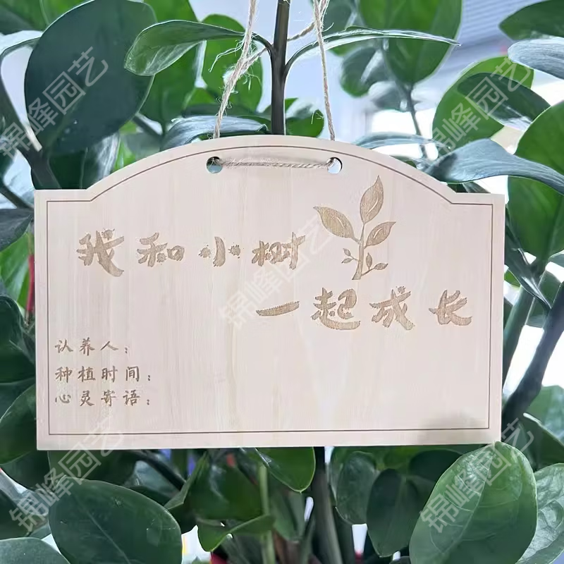 单位学校幼儿园植树节活动认养牌树挂牌树木认领牌果树吊牌定制 a款
