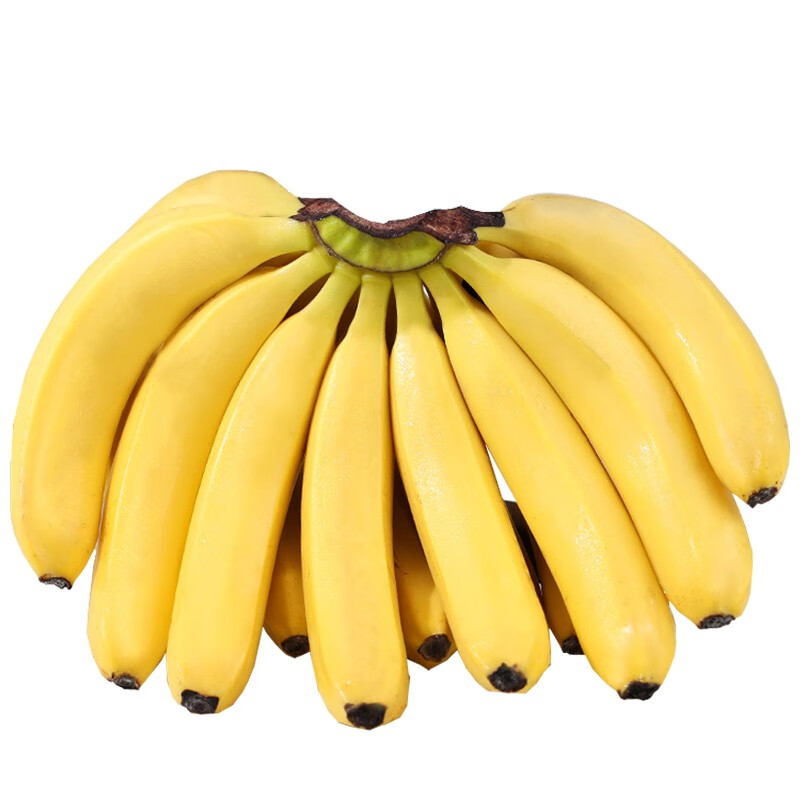 静益乐源广西大香蕉 新鲜应季水果 2.5kg