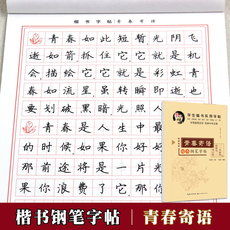 青春寄语 田英章钢笔楷书字帖楷书入门初学者练字正楷硬笔临摹字帖