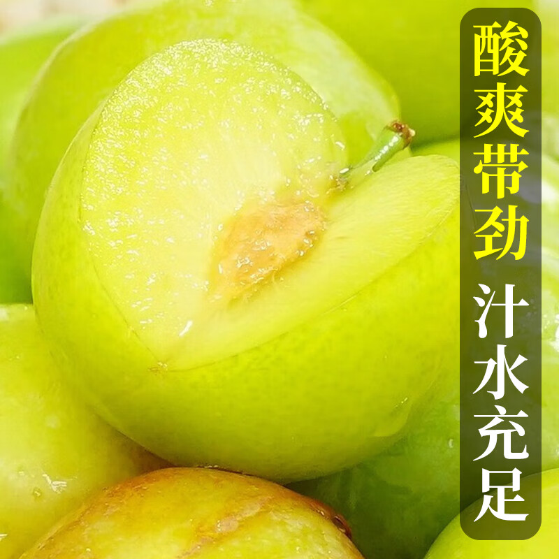 花农氏三月李钱排三月李子钱排三月李三华青李茂名李酸脆孕妇酸甜水果新 500g 中果每斤60-65个