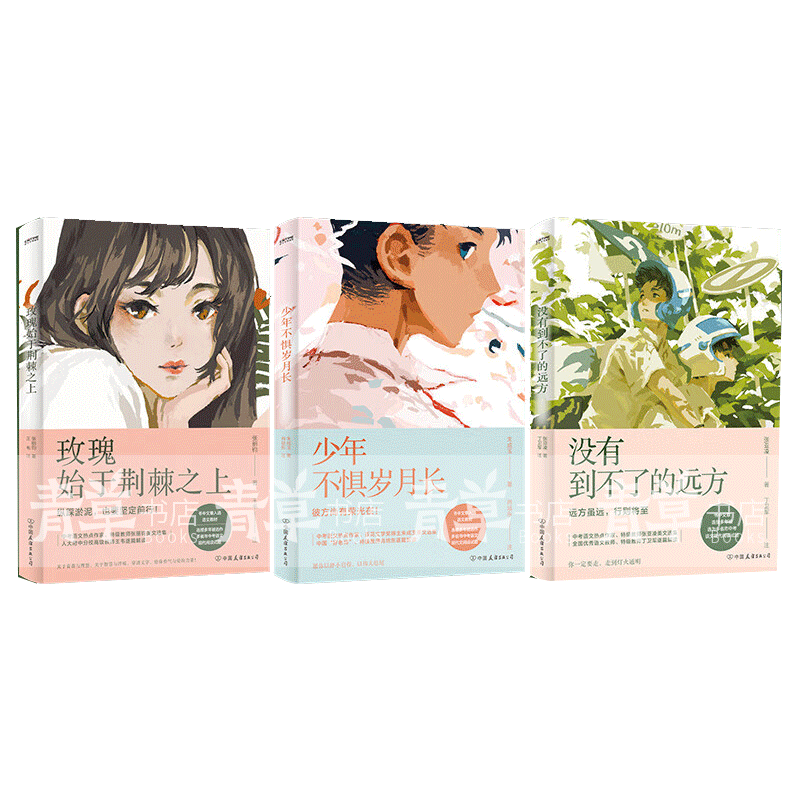 包邮中考语文热点作家作品解析张丽钧朱成玉张亚凌 少年不惧岁月长