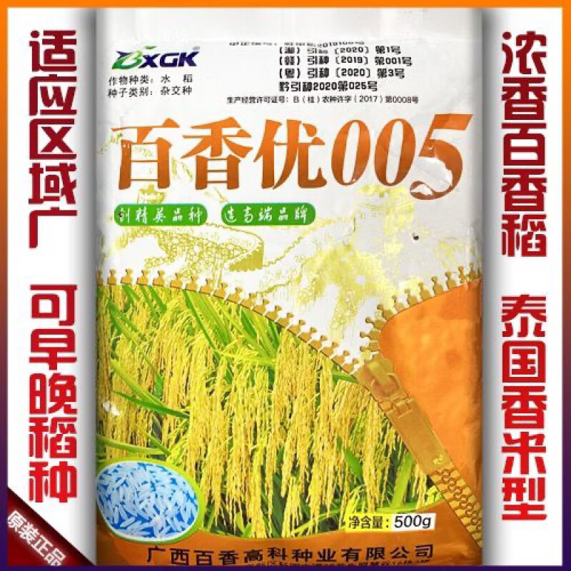 农喜发百香优005泰国香米型水稻种子高产杂交水稻种子早晚稻水稻种香
